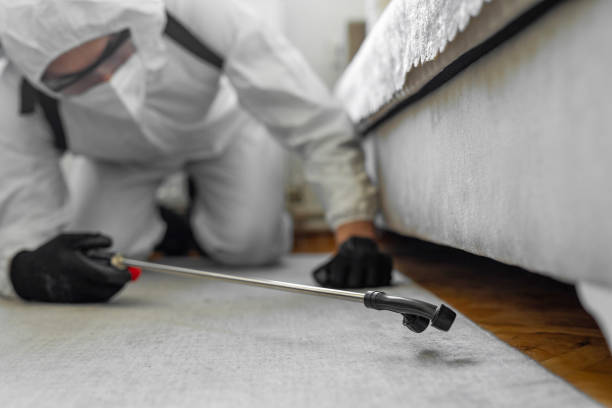 Professional Rodent Control technician working in El Dorado Springs, MO