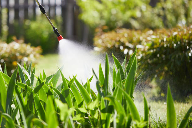 24/7 Emergency Rodent Control experts in El Dorado Springs, MO