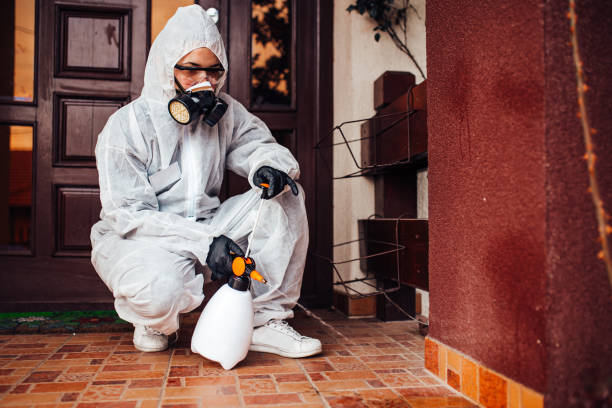 Reliable Rodent Control contractor in El Dorado Springs, MO by Nex Pest Control
